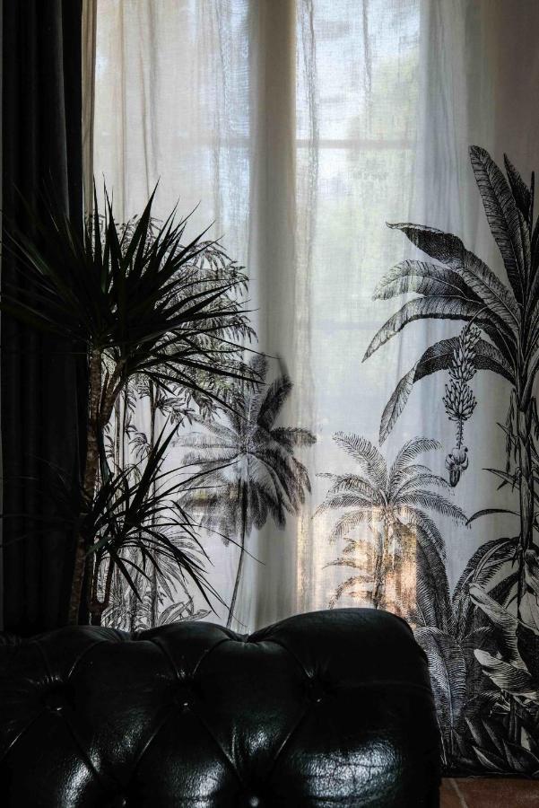 Villa Des Antiquaires Bédarieux Zewnętrze zdjęcie