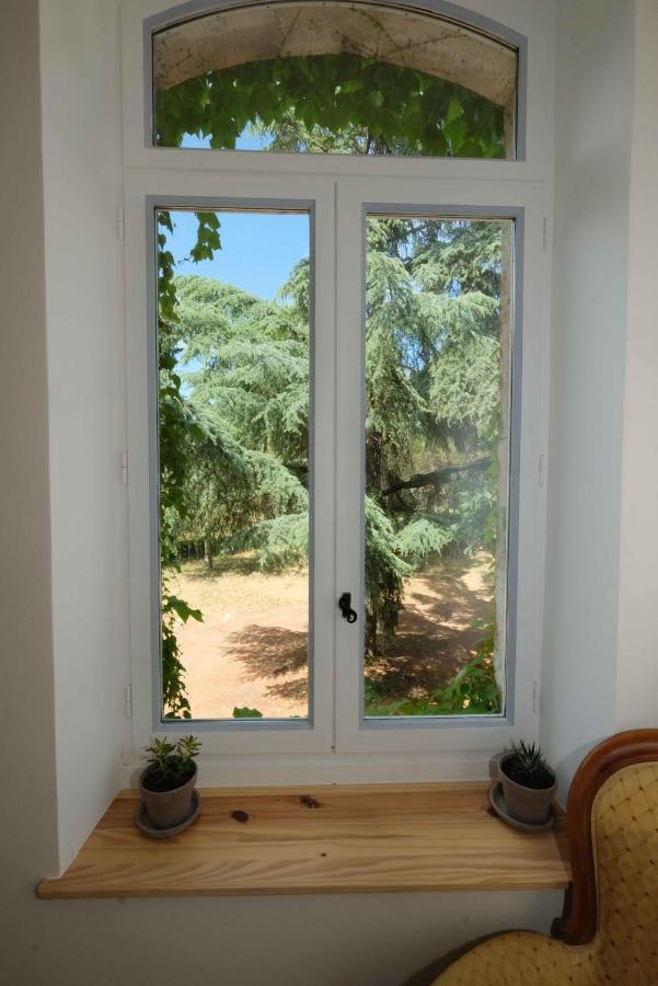 Villa Des Antiquaires Bédarieux Zewnętrze zdjęcie